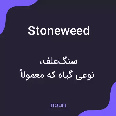 معنی stoneweed به فارسی معنی stoneweed به فارسی