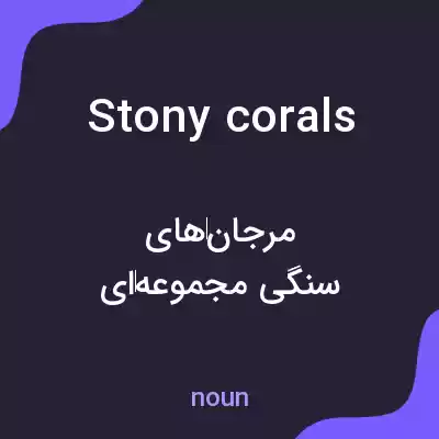 معنی stony corals به فارسی معنی stony corals به فارسی