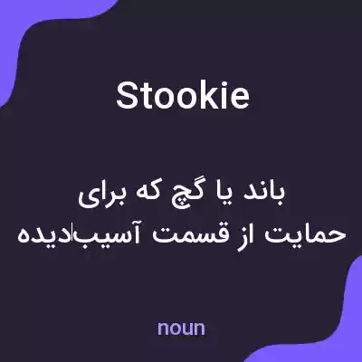 معنی stookie به فارسی