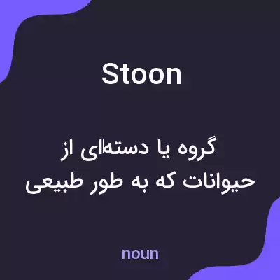 معنی stoon به فارسی معنی stoon به فارسی