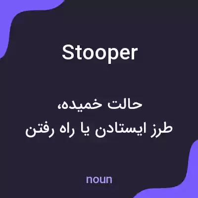 معنی stooper به فارسی معنی stooper به فارسی
