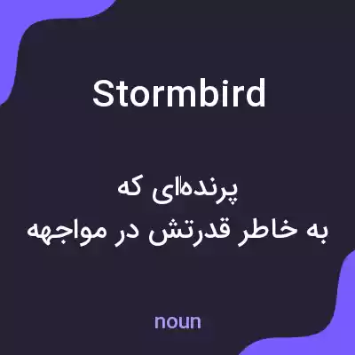 معنی stormbird به فارسی