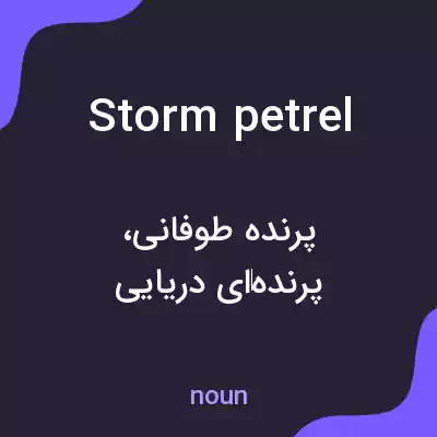 معنی storm petrel به فارسی معنی storm petrel به فارسی