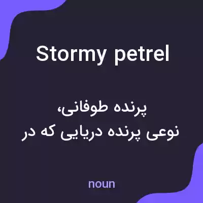 معنی stormy petrel به فارسی معنی stormy petrel به فارسی