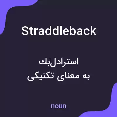 معنی straddleback به فارسی معنی straddleback به فارسی