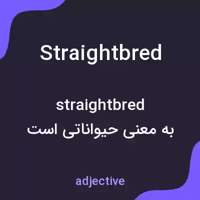 معنی straightbred به فارسی معنی straightbred به فارسی