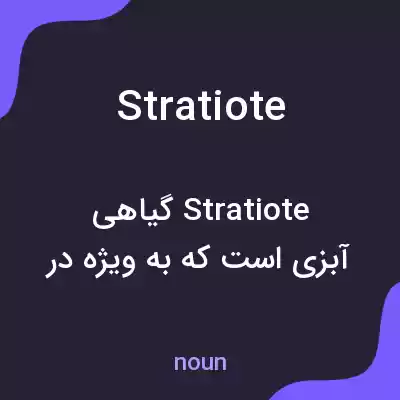 معنی stratiote به فارسی معنی stratiote به فارسی