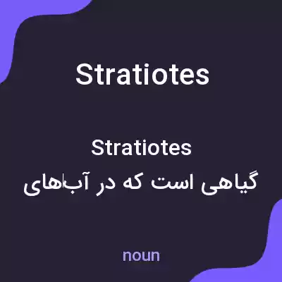 معنی stratiotes به فارسی معنی stratiotes به فارسی