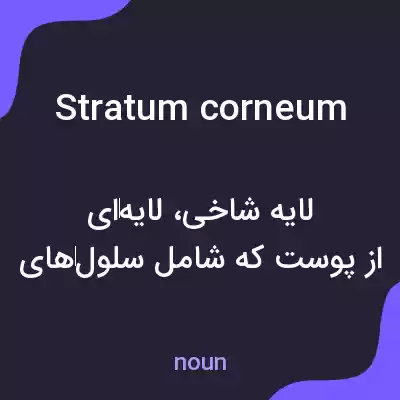 معنی stratum corneum به فارسی معنی stratum corneum به فارسی