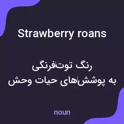 معنی strawberry roans به فارسی معنی strawberry roans به فارسی