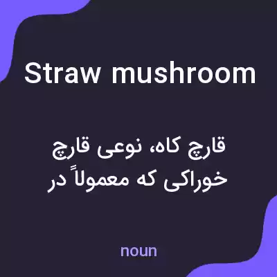 معنی straw mushroom به فارسی معنی straw mushroom به فارسی