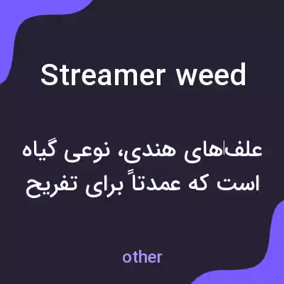 معنی streamer weed به فارسی معنی streamer weed به فارسی