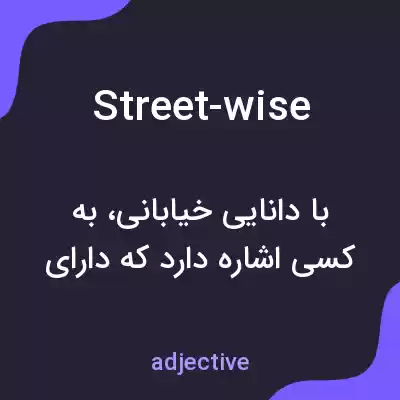 معنی street-wise به فارسی