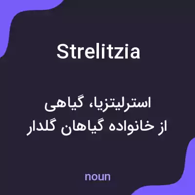 معنی strelitzia به فارسی معنی strelitzia به فارسی