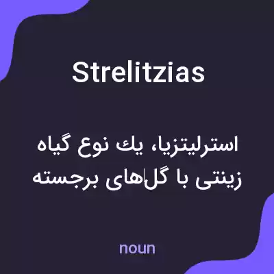 معنی strelitzias به فارسی معنی strelitzias به فارسی