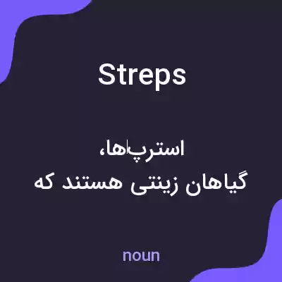 معنی streps به فارسی معنی streps به فارسی