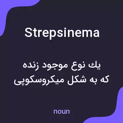 معنی strepsinema به فارسی معنی strepsinema به فارسی