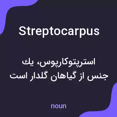 معنی streptocarpus به فارسی