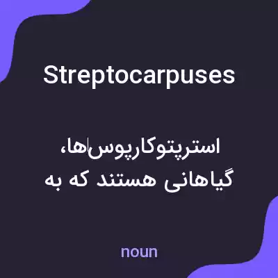 معنی streptocarpuses به فارسی معنی streptocarpuses به فارسی