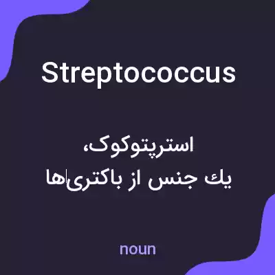 معنی streptococcus به فارسی معنی streptococcus به فارسی