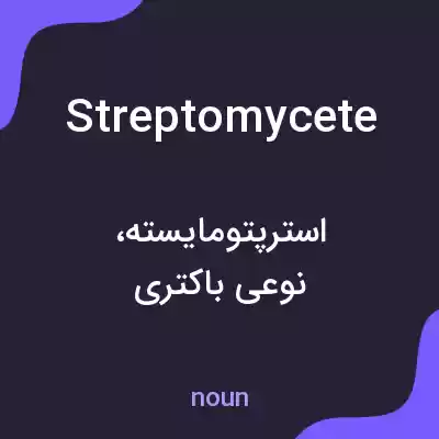 معنی streptomycete به فارسی معنی streptomycete به فارسی