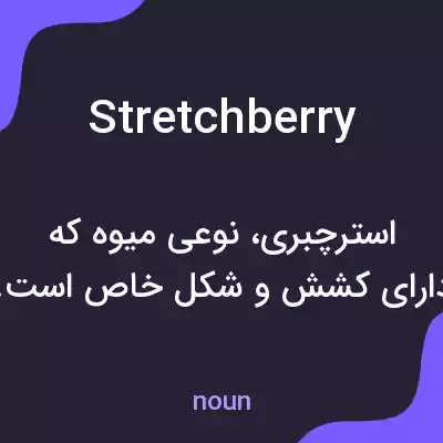 معنی stretchberry به فارسی