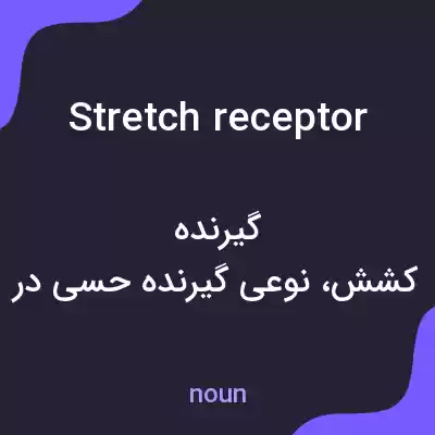 معنی stretch receptor به فارسی معنی stretch receptor به فارسی
