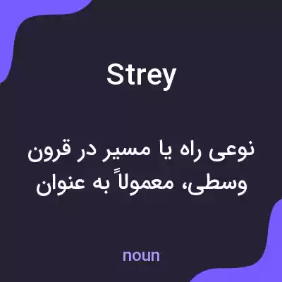 معنی strey به فارسی