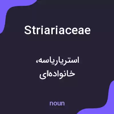 معنی striariaceae به فارسی