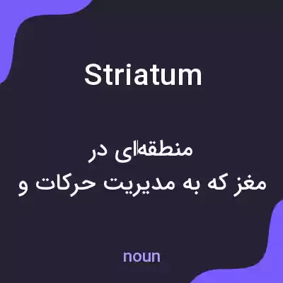 معنی striatum به فارسی معنی striatum به فارسی