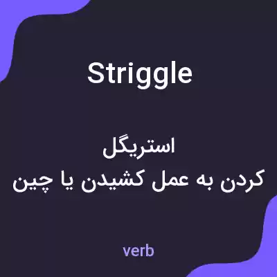 معنی striggle به فارسی معنی striggle به فارسی