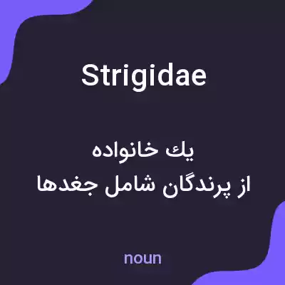 معنی strigidae به فارسی معنی strigidae به فارسی