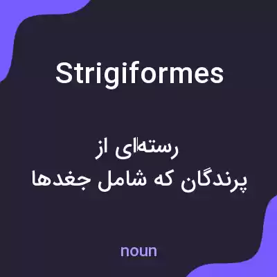 معنی strigiformes به فارسی معنی strigiformes به فارسی