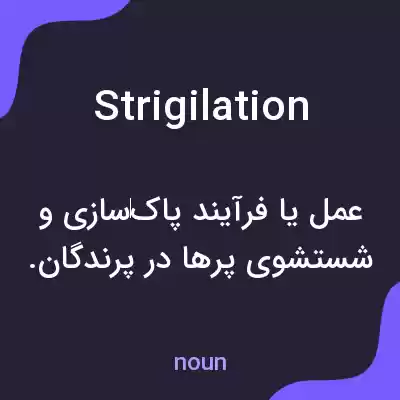معنی strigilation به فارسی معنی strigilation به فارسی