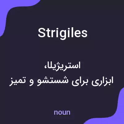 معنی strigiles به فارسی