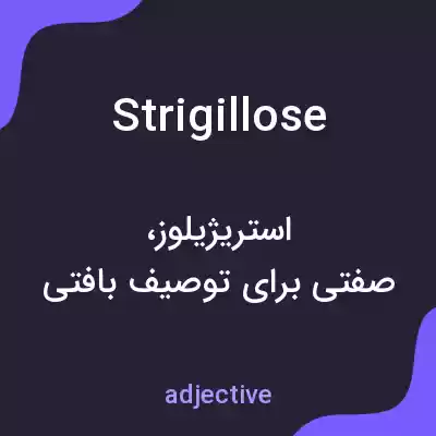 معنی strigillose به فارسی
