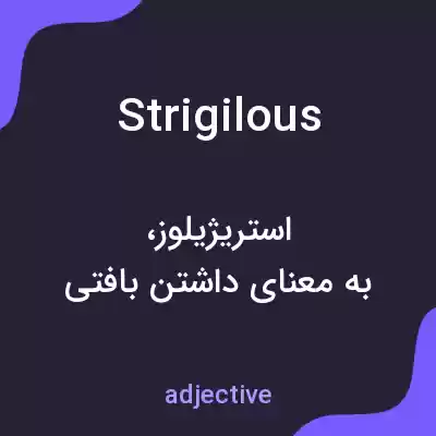 معنی strigilous به فارسی معنی strigilous به فارسی