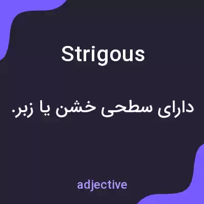 معنی strigous به فارسی معنی strigous به فارسی