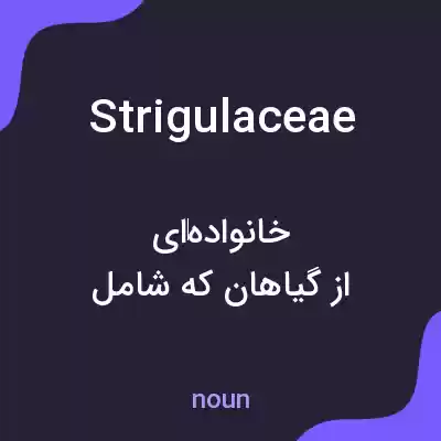 معنی strigulaceae به فارسی