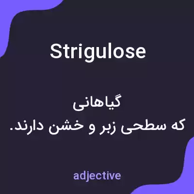معنی strigulose به فارسی معنی strigulose به فارسی
