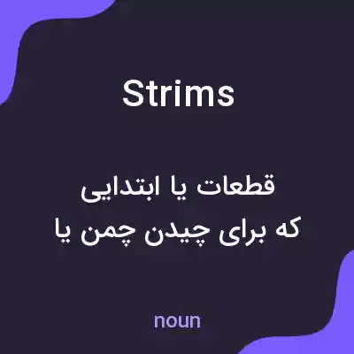 معنی strims به فارسی