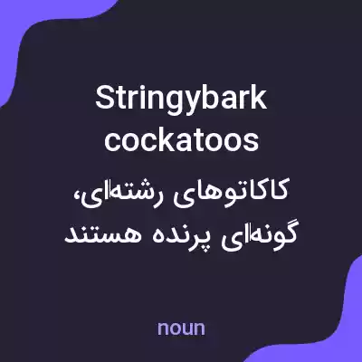 معنی stringybark cockatoos به فارسی