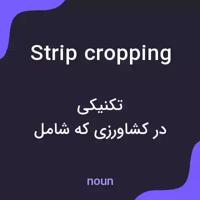 معنی strip cropping به فارسی معنی strip cropping به فارسی