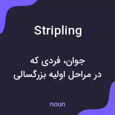 معنی stripling به فارسی معنی stripling به فارسی