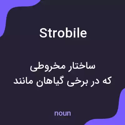 معنی strobile به فارسی معنی strobile به فارسی