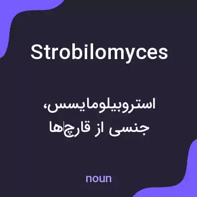معنی strobilomyces به فارسی معنی strobilomyces به فارسی