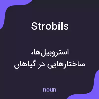 معنی strobils به فارسی معنی strobils به فارسی