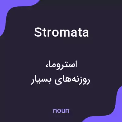 معنی stromata به فارسی معنی stromata به فارسی