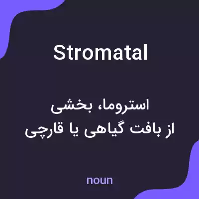 معنی stromatal به فارسی معنی stromatal به فارسی