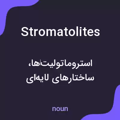 معنی stromatolites به فارسی